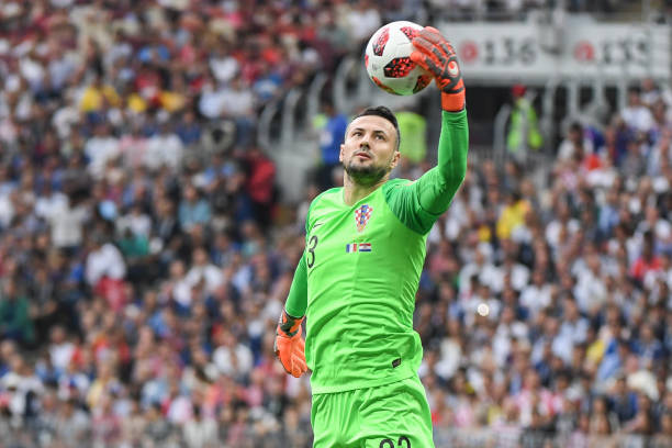 的近照不仅 的近照不仅